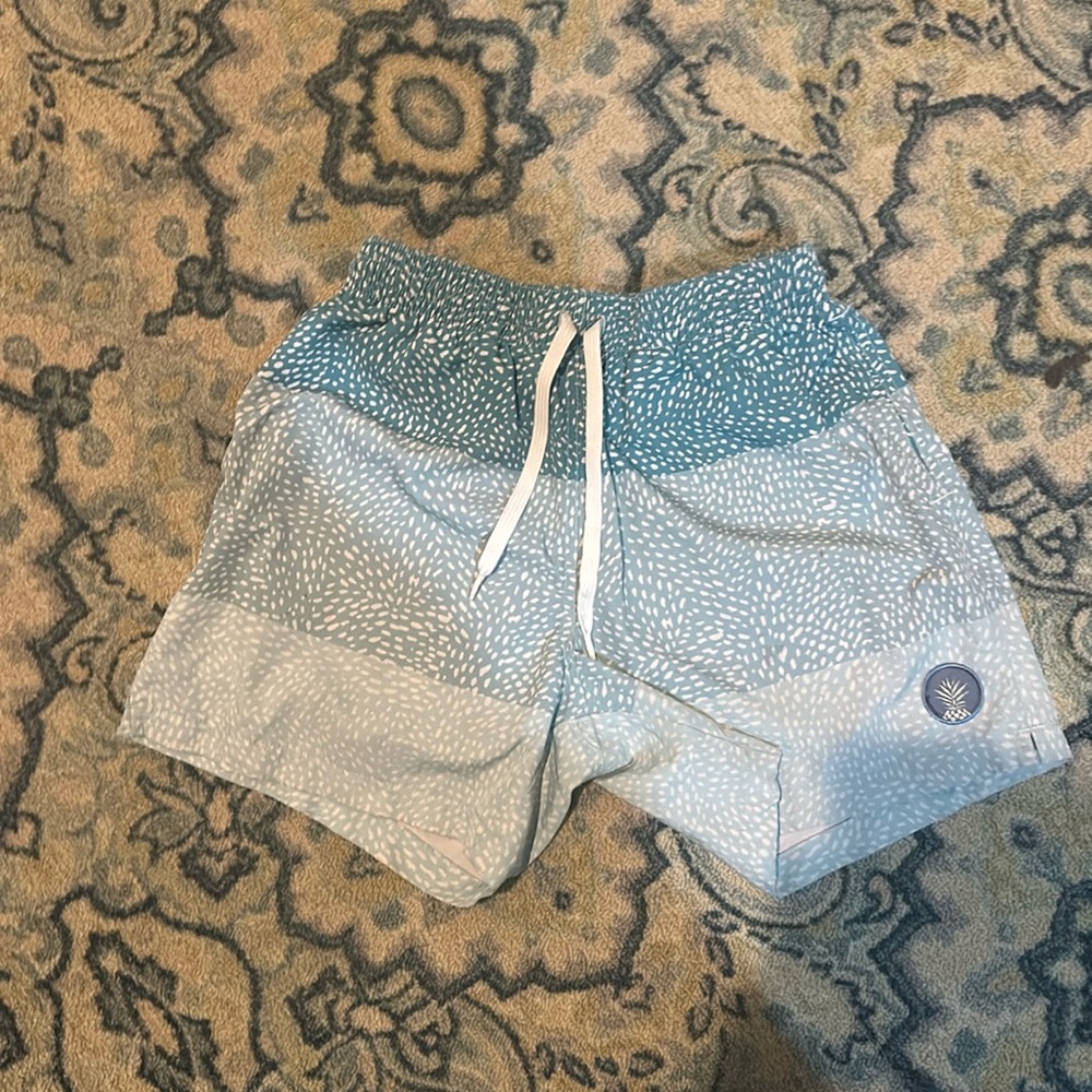 Chubbies whale sharks small 5.5 inseam